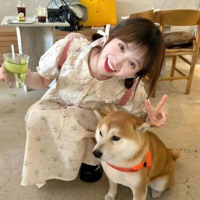 绝命塔罗牌
